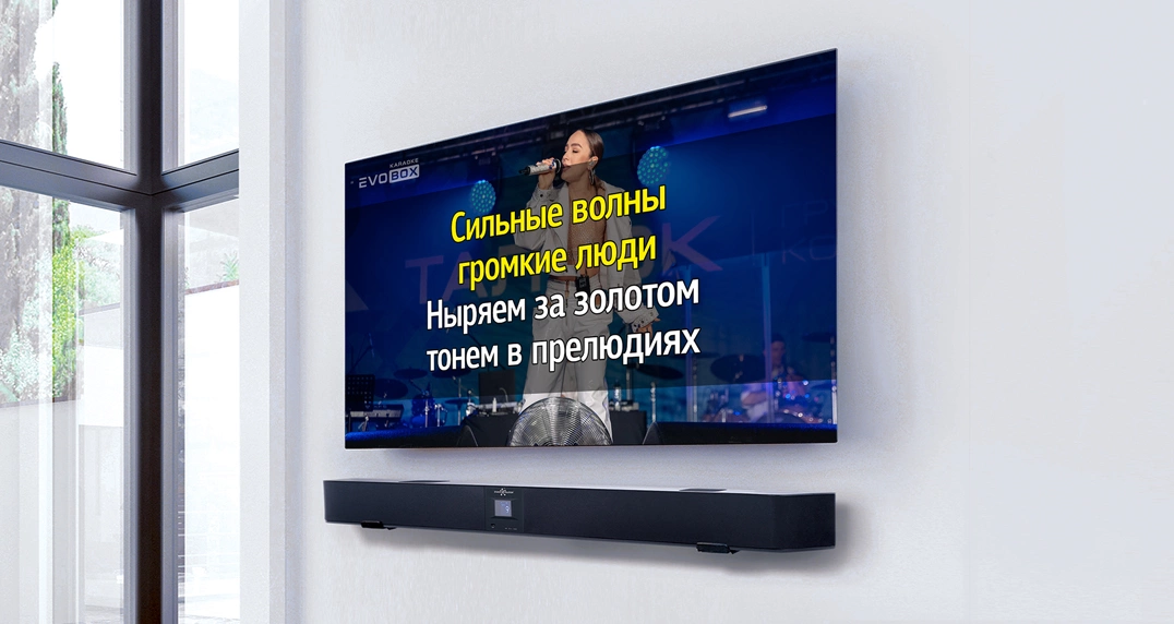 Колонка сабвуфер с караоке