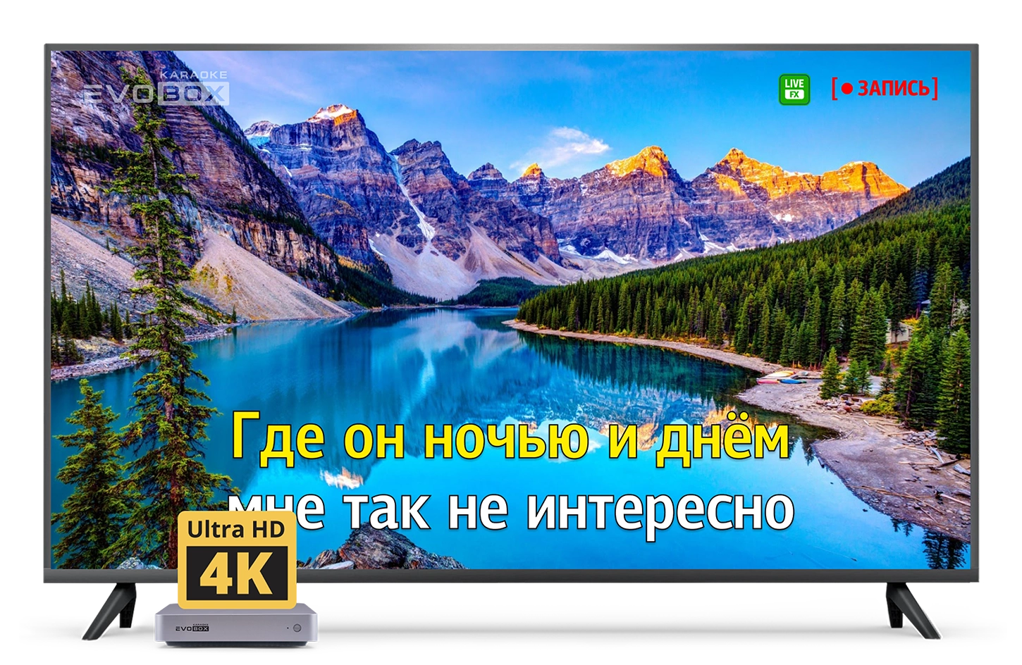 Портативная караоке-система